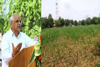 Gujarat Govt Decision : તમામ જિલ્લાના ખેડૂતોને 10 કલાક વીજળીનો આપવા નિર્ણય, સરકારે ખેડૂતોની રજૂઆતોને ધ્યાને લીધી