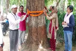 प्रयागराज में वृक्षों को रक्षासूत्र बांधकर मनाया गया रक्षाबंधन