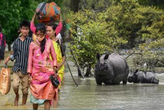 Assam Flood