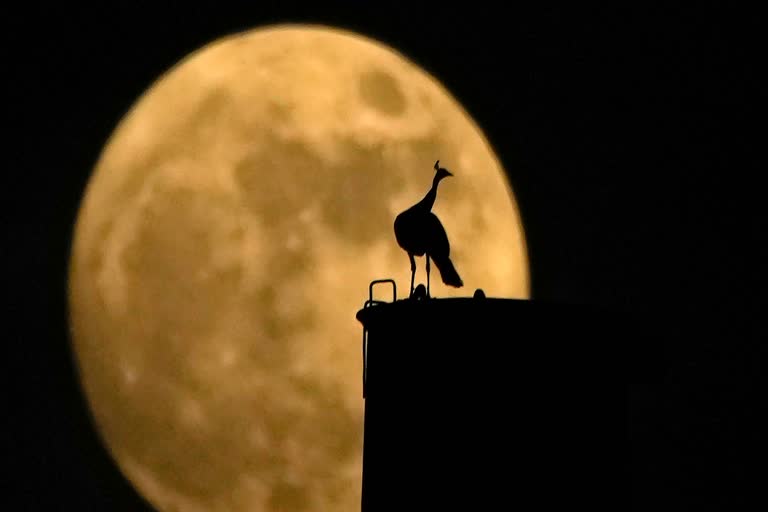 The supermoon rises near the equestrian statue of Damdin Sukhbaatar on Sukhbaatar Square in Ulaanbaatar, Mongolia, on Wednesday, Aug. 30, 2023. August 30 sees the month's second supermoon, when a full moon appears a little bigger and brighter thanks to its slightly closer position to Earth. (AP)