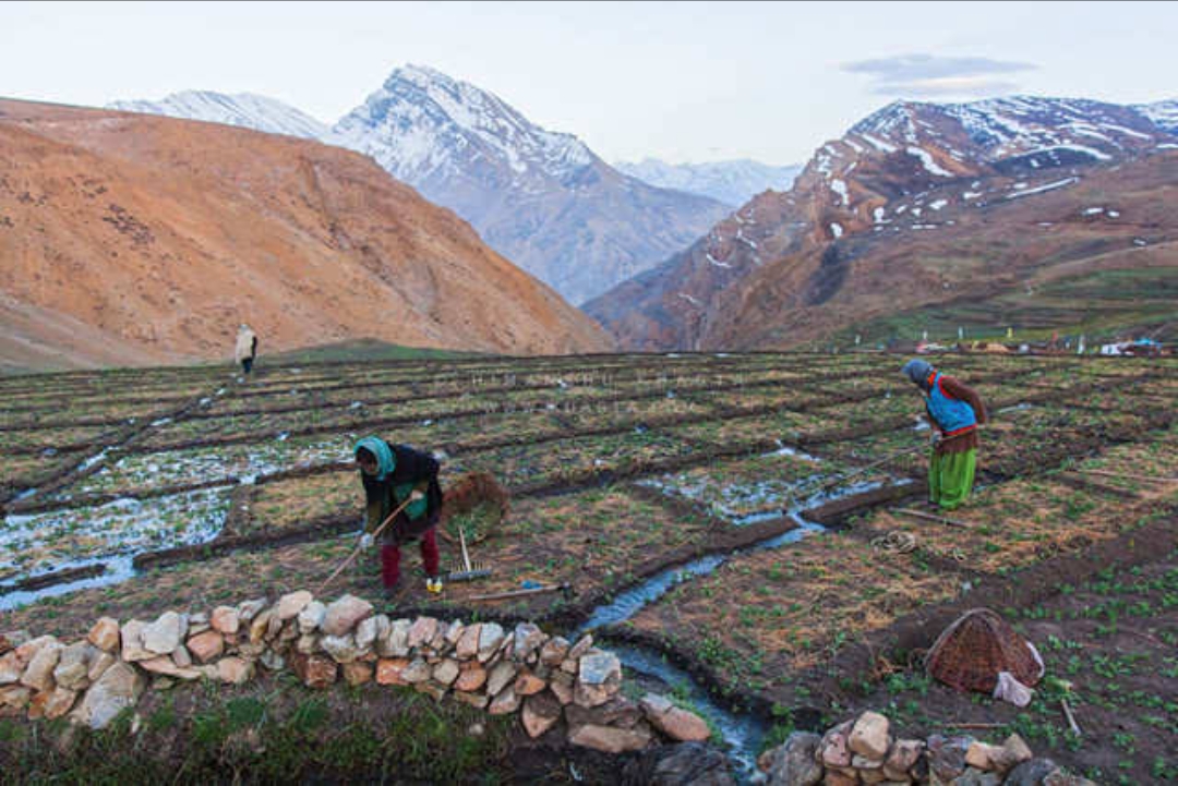 Lahaul Spiti