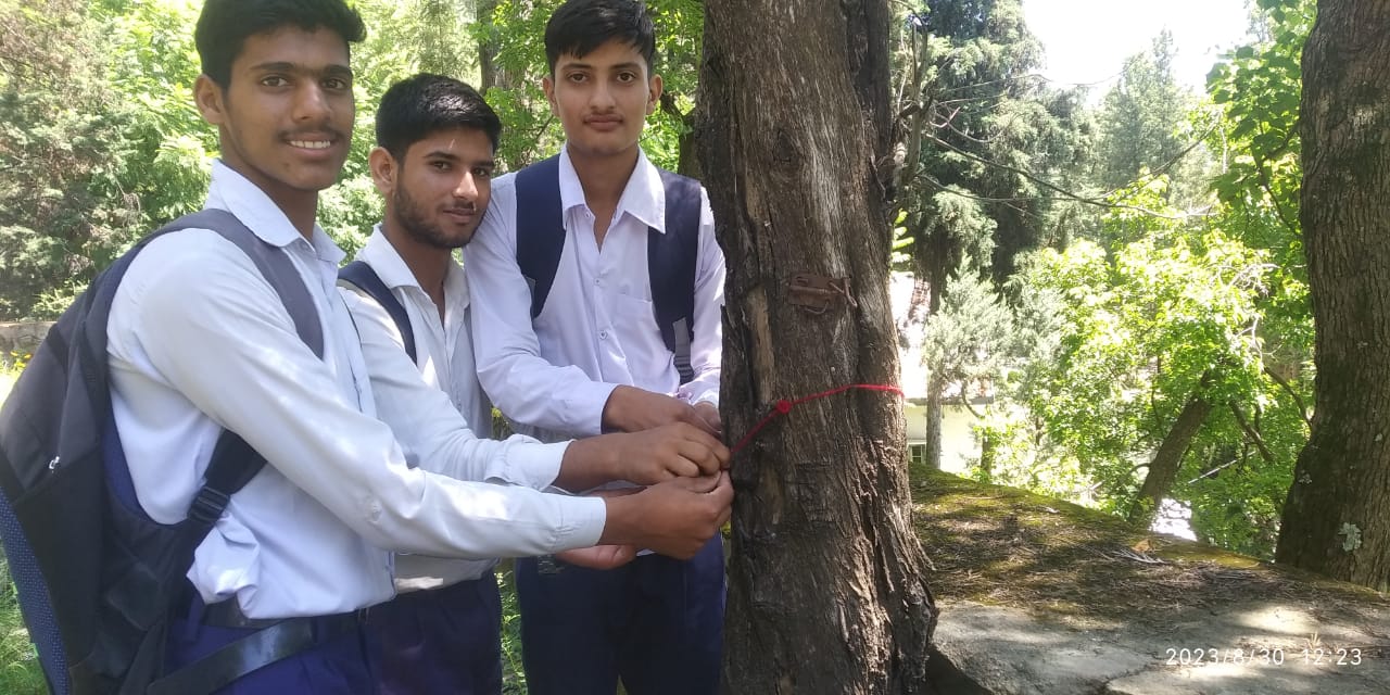 students tied rakhi to trees in Uttarkashi