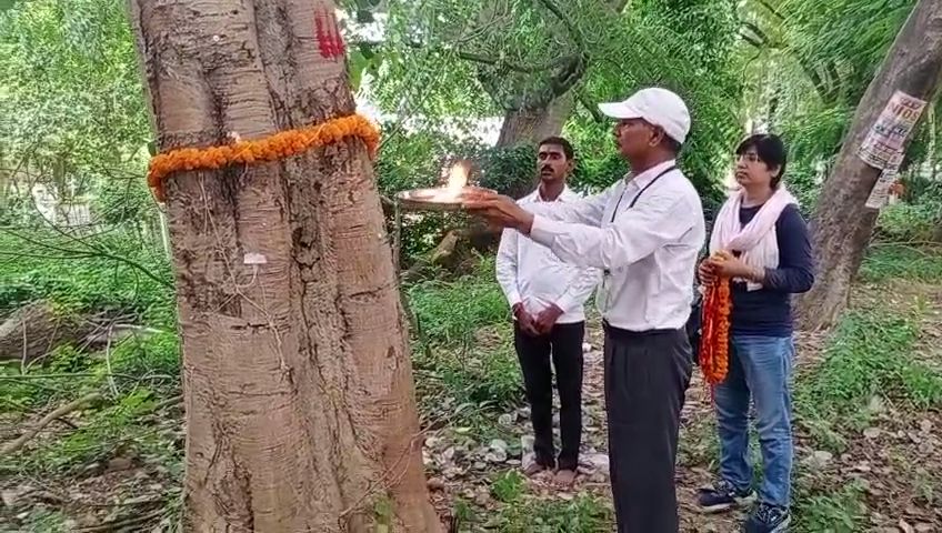 वृक्षों को रक्षासूत्र बांधकर आरती करते हरियाली गुरु