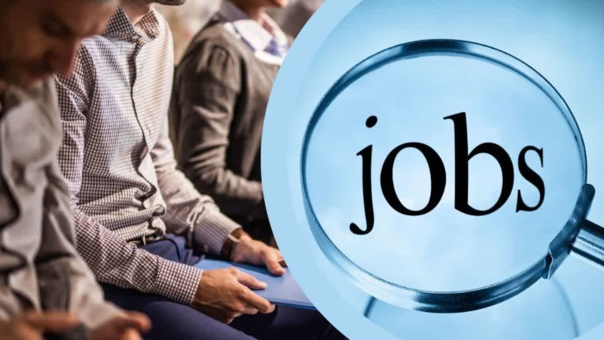 uttar pradesh varanasi jobs fair companies roadways provide 800 jobs vacancy 2024 kashi news up uttar pradesh news