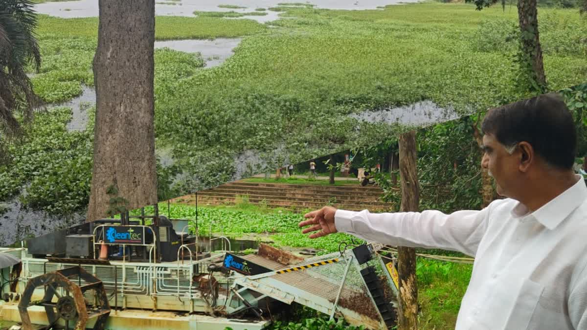 lakes in danger due to water hyacinth in Hazaribag