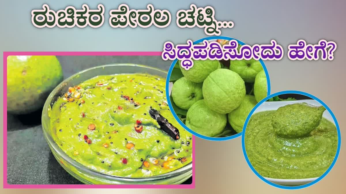 HOW TO MAKE GUAVA CHUTNEY  GUAVA CHUTNEY PREPARATION  GUAVA CHUTNEY MAKING PROCESS  GUAVA CHUTNEY IN kannada