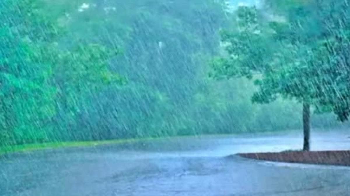 Heavy Rains In Andhra Pradesh: 7 Killed, Severe Waterlogging In Many Areas, Traffic Disrupted