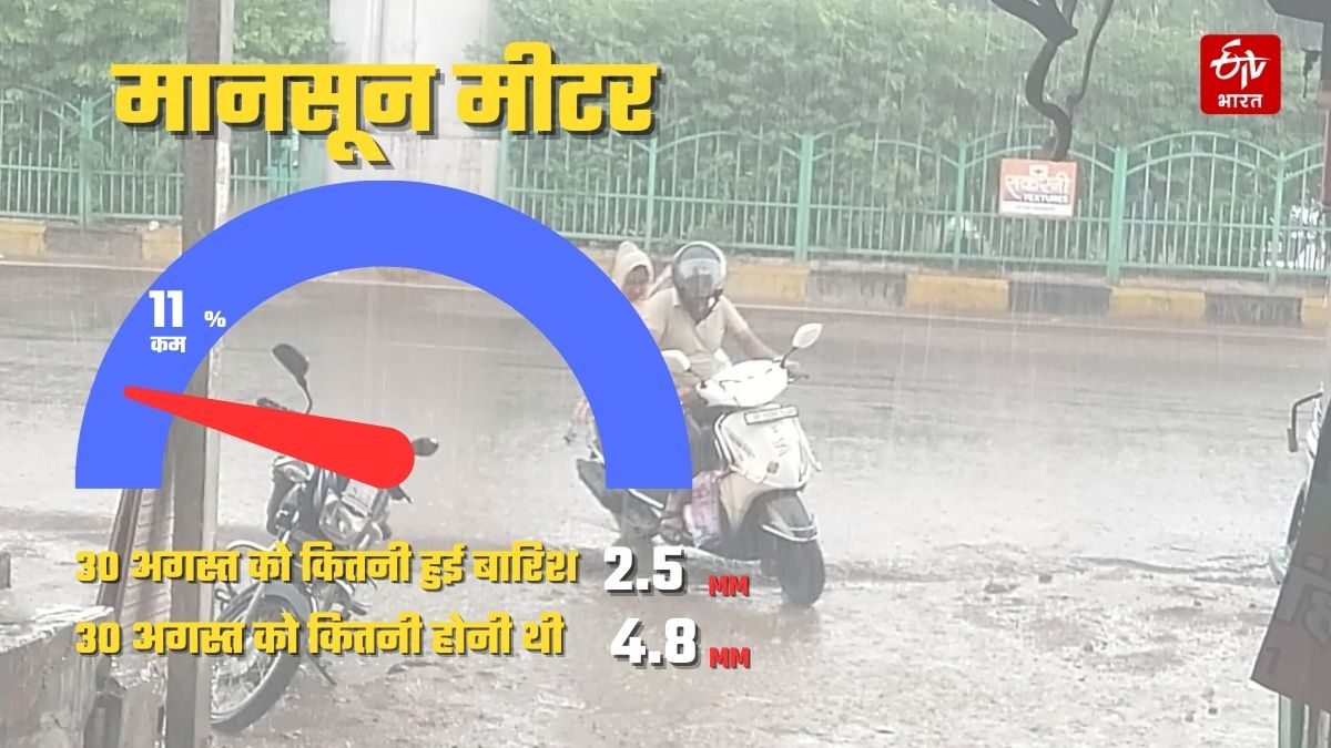 up-weather-forecast-latest-updates-heavy-rain-storm-winds-blow-uttar-pradesh-september-1-2024-aaj-ka-mausam-uttar-pradesh-news