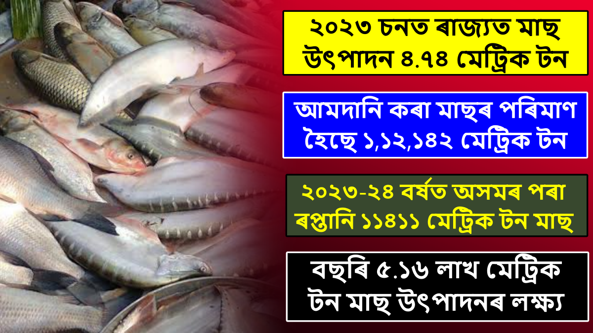 Fish production increased in Assam