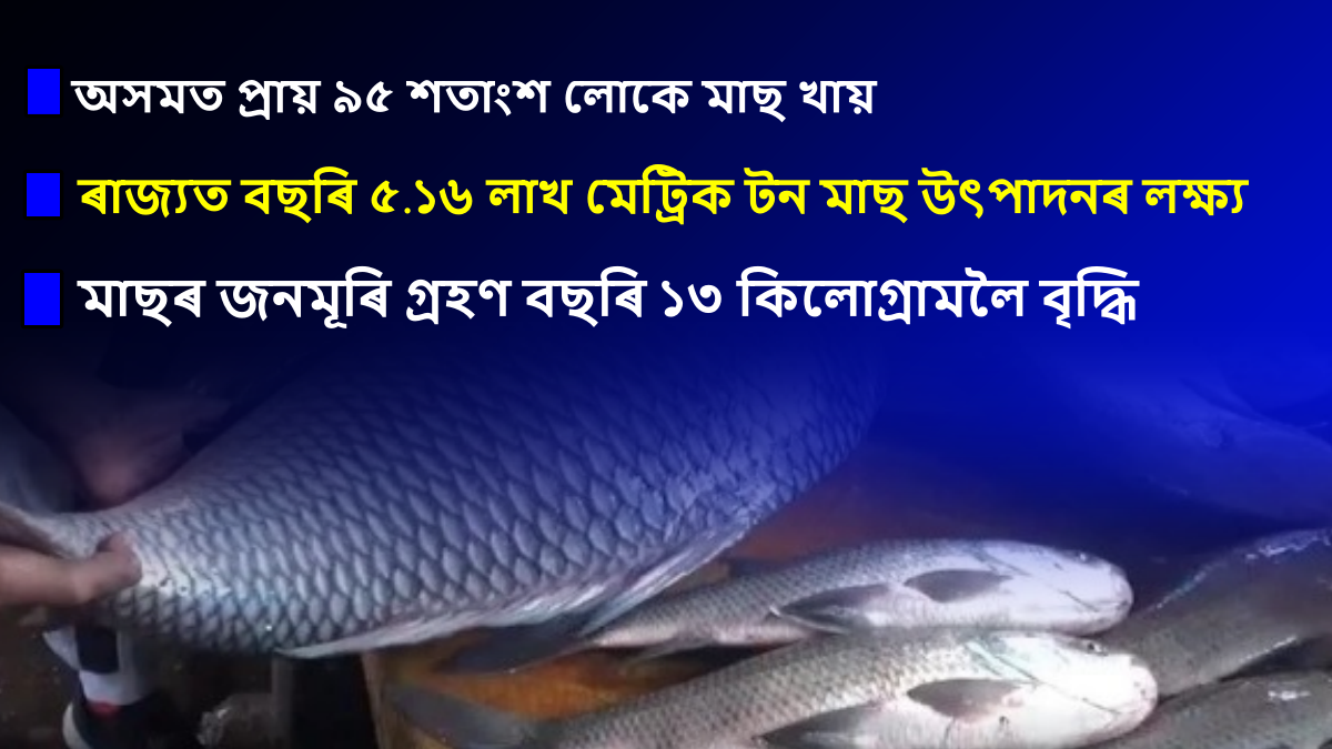 Fish production increased in Assam