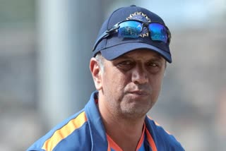 Rahul Dravid