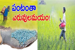 Most Fertilizers Used in Crops