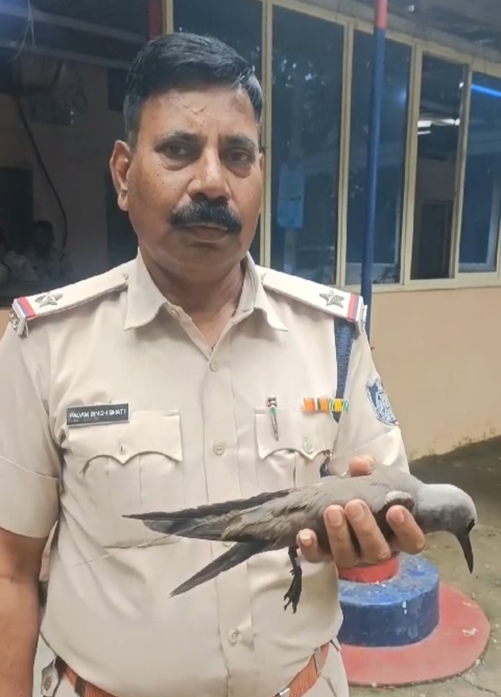 Police handed over bird forest dept