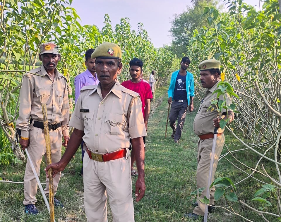 तेंदुआ को खोजने में जुटे वन कर्मचारी.