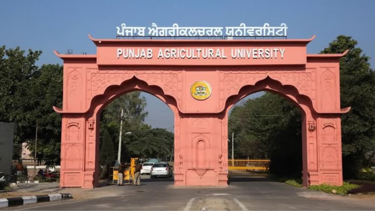 Punjab Agricultural University