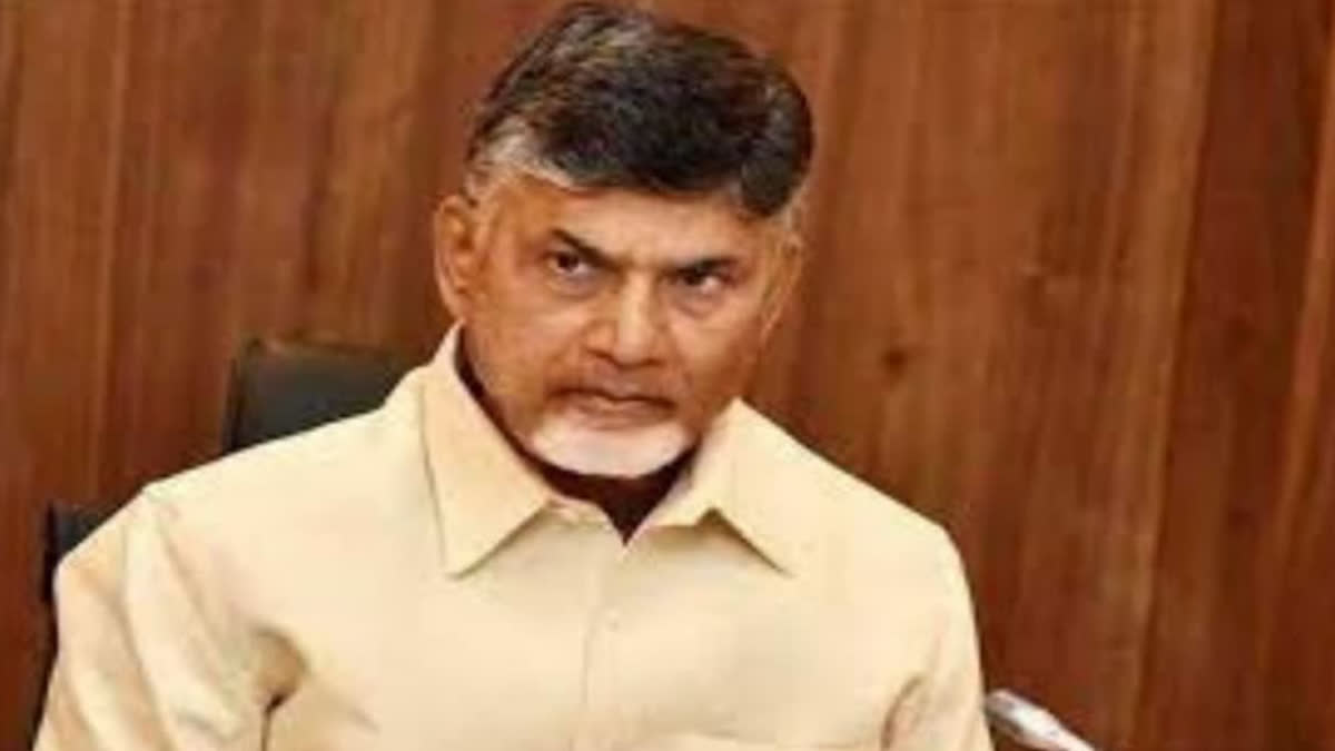 Interim Bail to Chandrababu