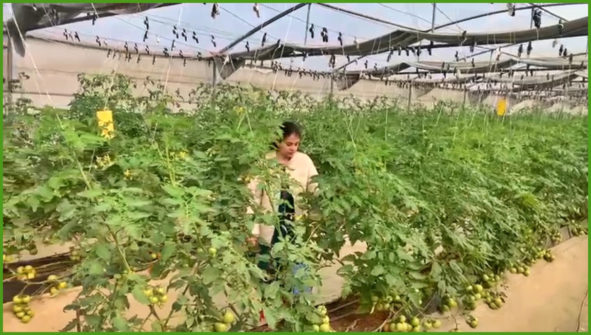 indo israel agro center in haryana