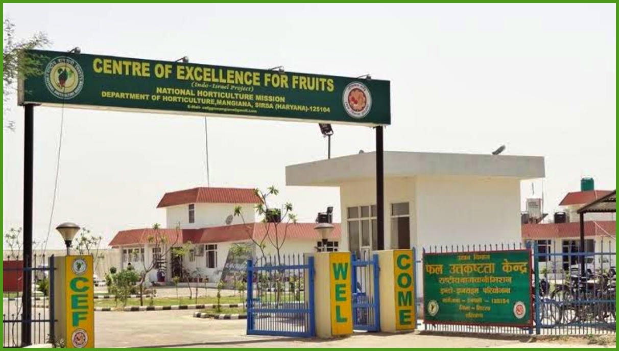 centre of excellence for fruits in haryana