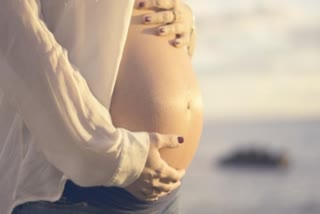 Overweight gaining pregnancy may increase risk of death: study