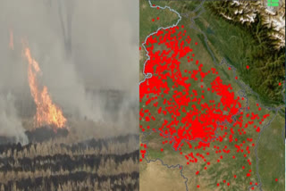 NASA satellite images confirmed the increase in cases of stubble rot in Punjab