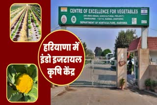 Indo israel agro center in haryana