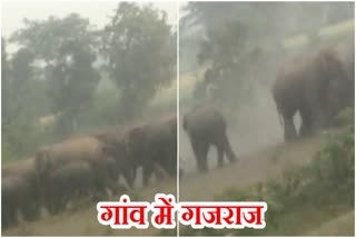 herd of wild elephants entered Tamar forest range in Khunti