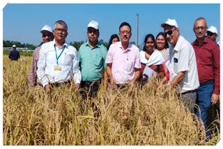 Evaluation of Rice Cafeteria starts