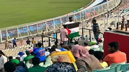 Palestine Flag At Eden