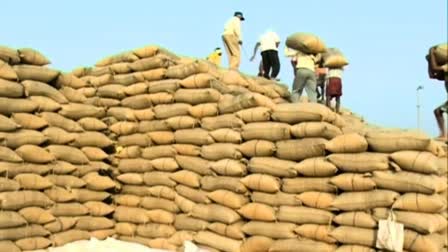 Paddy Procurement Started In Chhattisgarh