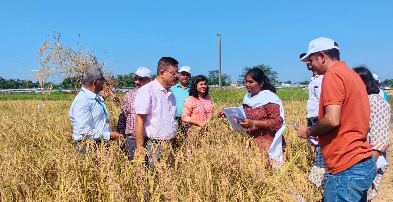 Evaluation of Rice Cafeteria starts