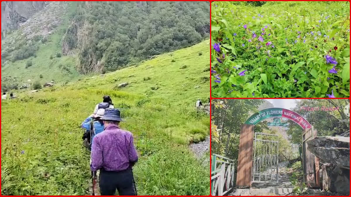 VALLEY OF FLOWERS CLOSED