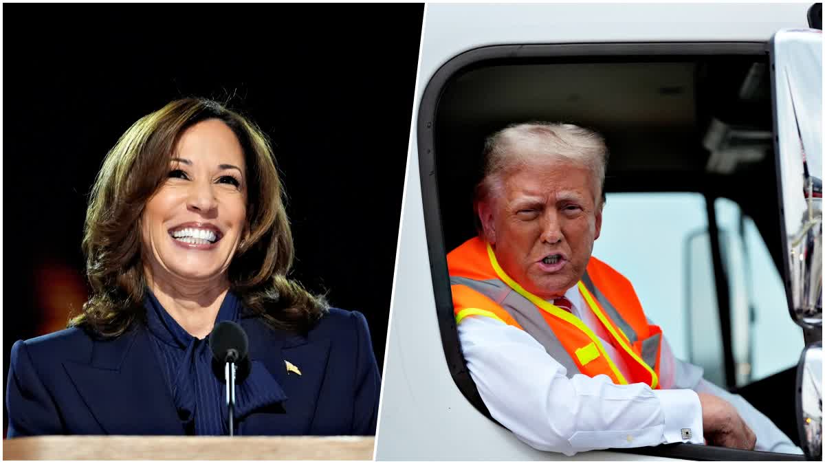 Kamala Harris vs Donald Trump