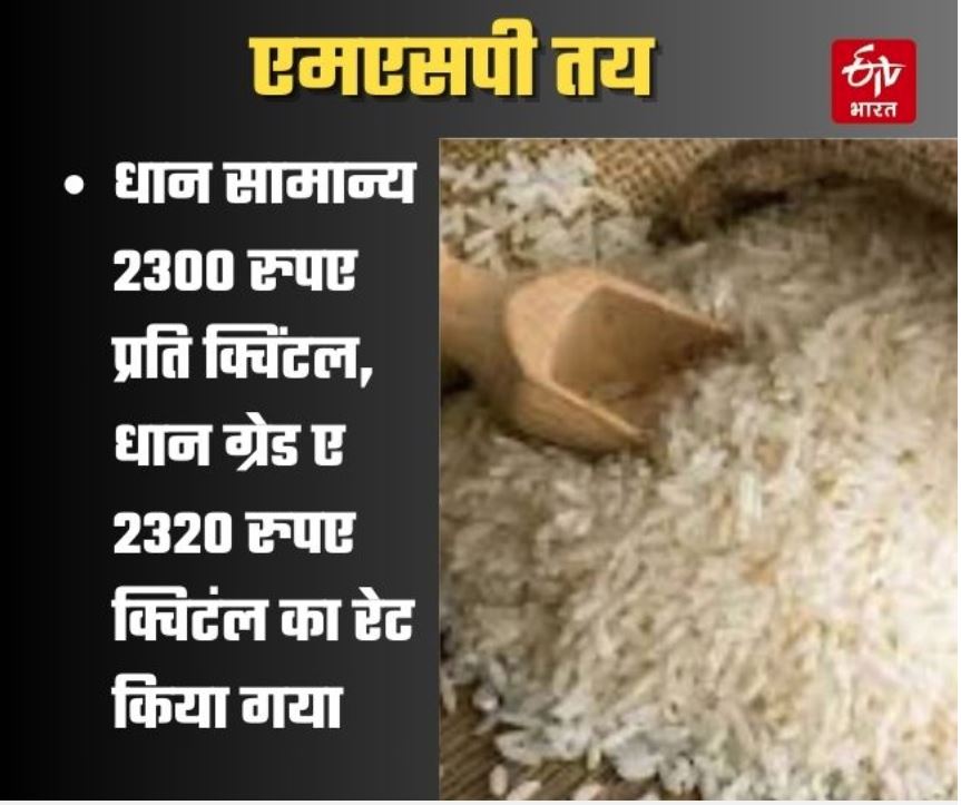 paddy-minimum-support-price-dhan-ka-sarkari-rate-2024- msp-in-up-yogi-government-announced-procurement-november 2024 13 districits -dhan-khareed-latest-news