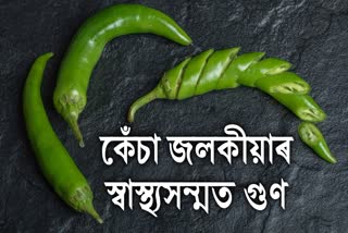 Health Benefits of Green Chilli kesa jolokia in Assamese