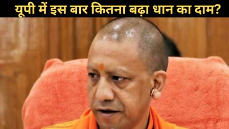 paddy-minimum-support-price-dhan-ka-sarkari-rate-2024- msp-in-up-yogi-government-announced-procurement-november 2024 13 districits -dhan-khareed-latest-news