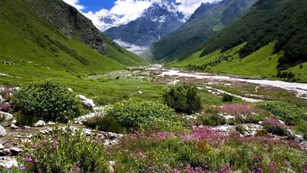 Uttarakhand: Ahead Of Winter, Valley Of Flowers Closed For Visitors