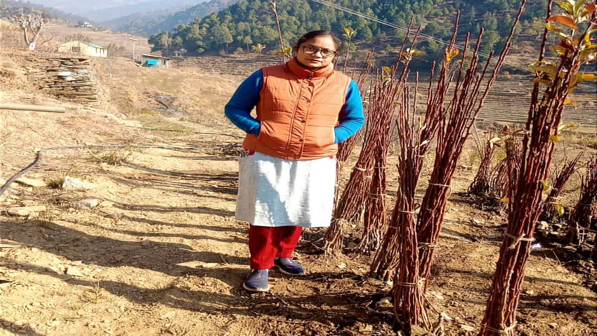 Fruit Plants Distribution in Mandi