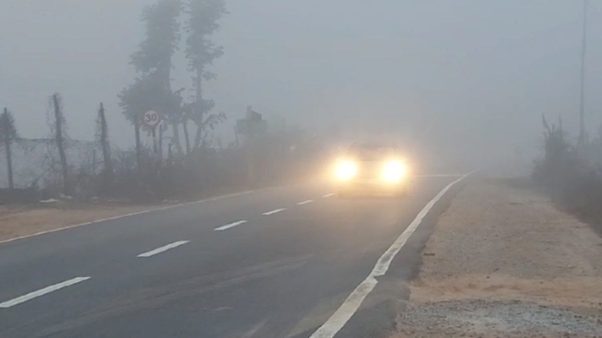 Dense Fog in Balrampur