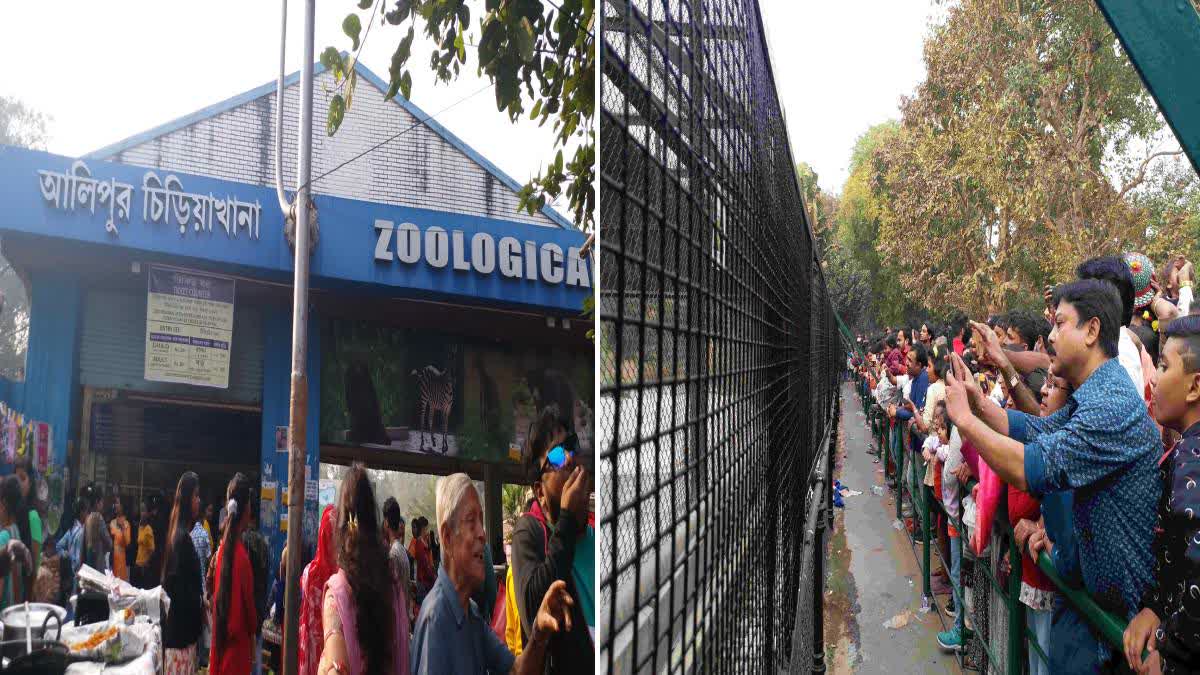 Alipore Zoo