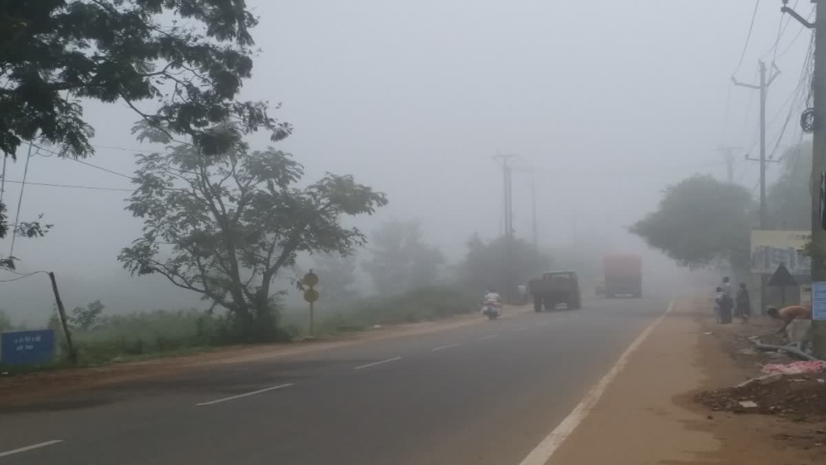 Yellow alert for fog in Jharkhand