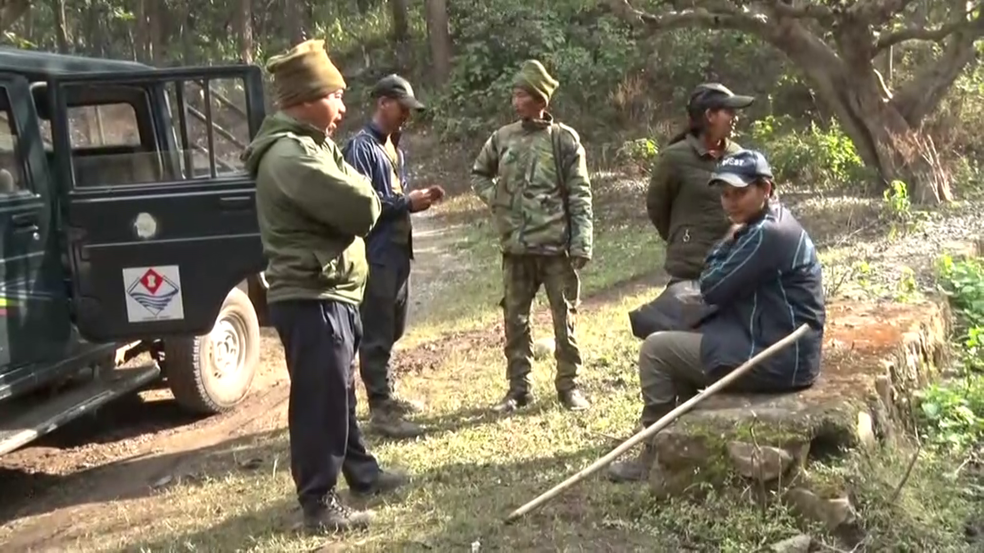 Rajaji National Park on occasion of New Year