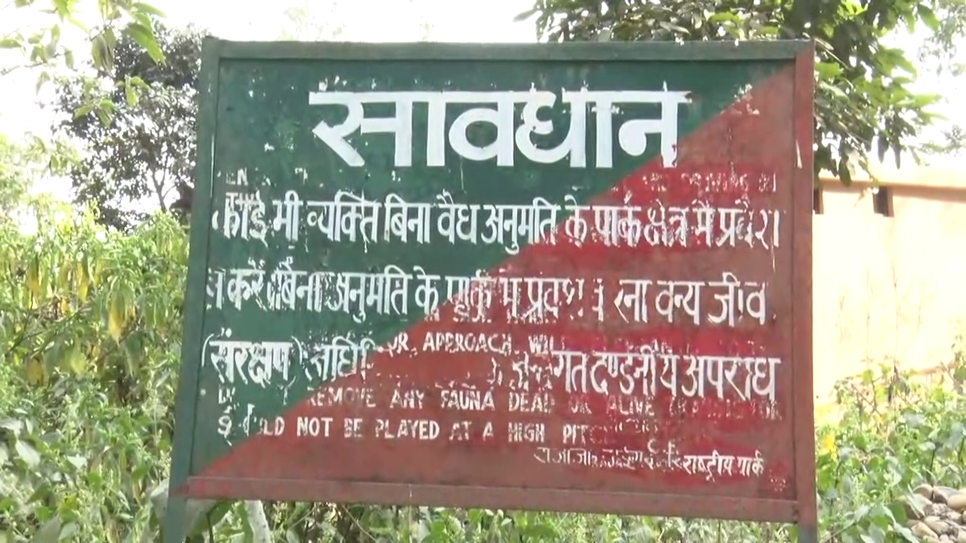 Rajaji National Park on occasion of New Year