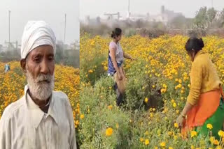 Know how farmers can benefit from flower farming, which flowers are most beneficial