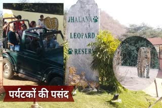 Jhalana Leopard Reserve