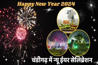 New Year celebration chandigarh Police alert