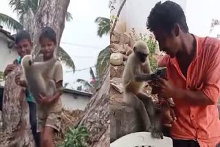 a-monkey-playing-with-childrens-and-dog-in-davangere