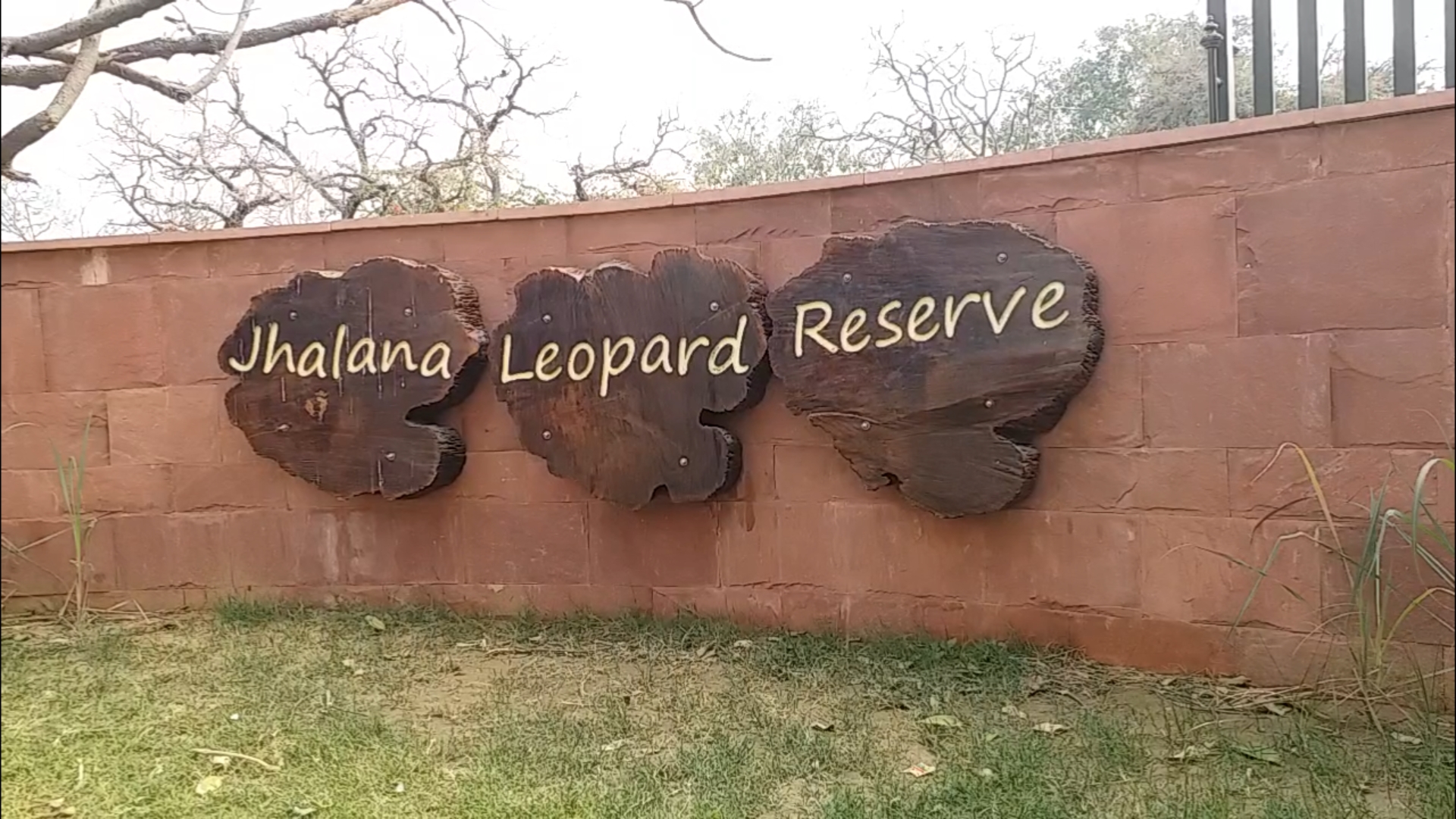 Jhalana Leopard Reserve