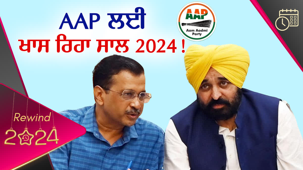 Year Ender 2024 AAP