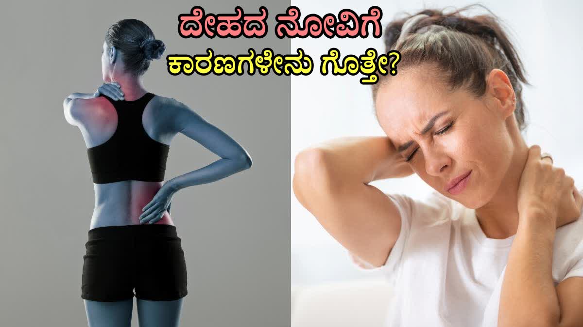 BODY PAIN REASON  WHY DOES WHOLE BODY PAIN  BODY PAIN HOME REMEDIES  BODY PAIN TREATMENT AT HOME