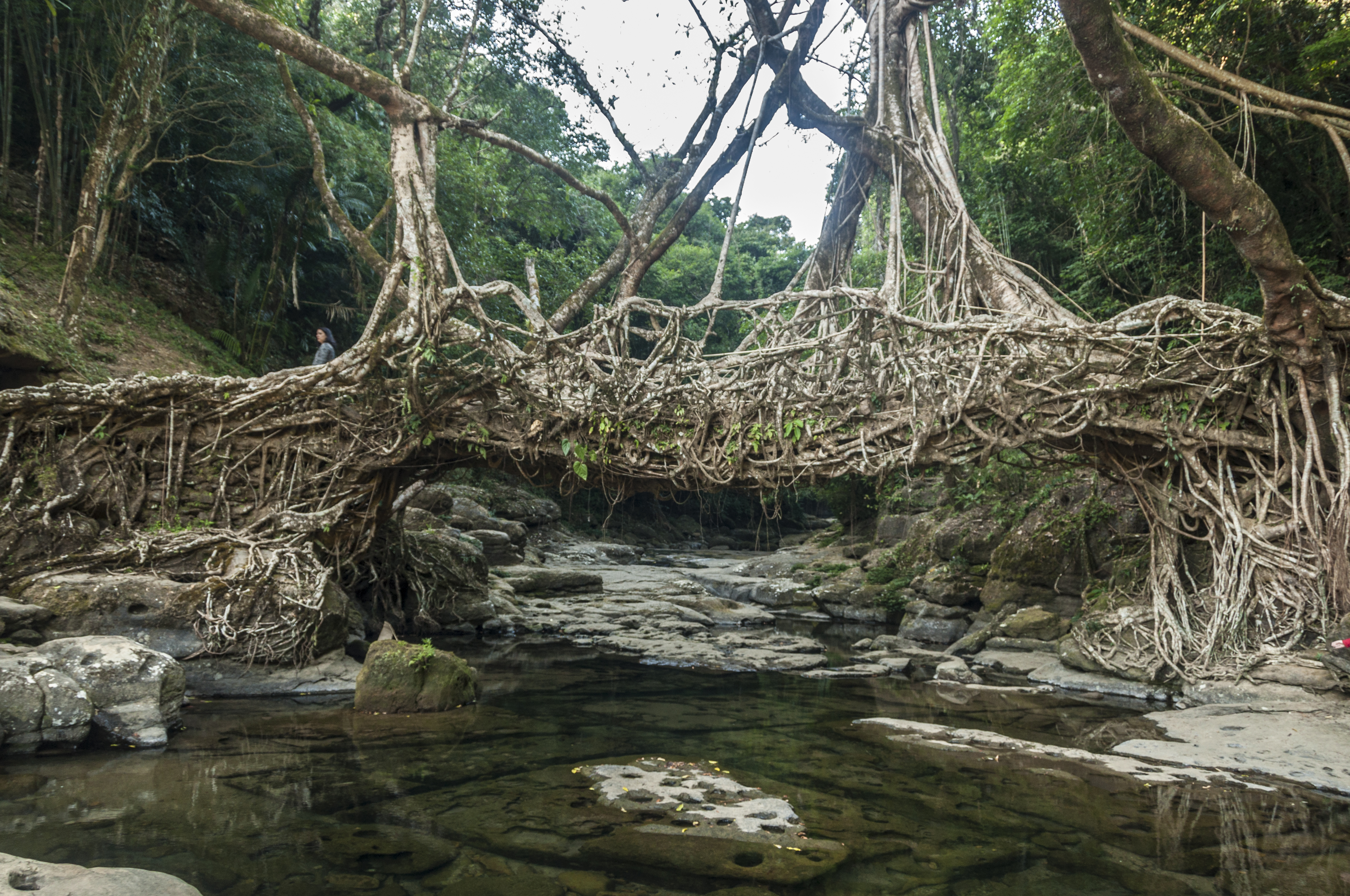 Tourist Spot In Meghalaya  Tourist Place In North India  ഉത്തരേന്ത്യന്‍ ടൂറിസം  New Year Trip To North India